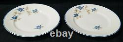 #1 Antique Homer Laughlin Bluebird Dinner Plate Set Of 2