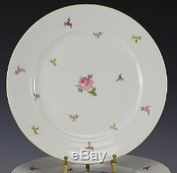 12pc set Rosenthal Hillside Dinner Plates small overall floral design, gilt trim