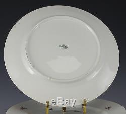 12pc set Rosenthal Hillside Dinner Plates small overall floral design, gilt trim