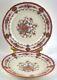 1950's Royal Cauldon Souvenir (pink Rim) 10.5 Dinner Plate Set, Made In England