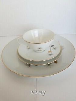 1950s CTSI of Japan porcelain dinnerware in the Golden Pine pattern (6 4 PC SET)