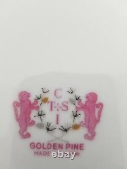 1950s CTSI of Japan porcelain dinnerware in the Golden Pine pattern (6 4 PC SET)