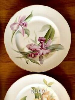 1951 Royal Worcester bone china gilt-edged orchid dinner plates (Set/12) signed