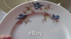 26 Pcs Homer Laughlin Blue Bird Pat Dinner Set Bowls Plates C&s