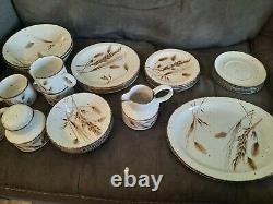 30 Wild Oats Stonehenge Midwinter England Dinner Plate, Cups, Saucers. Whole Set