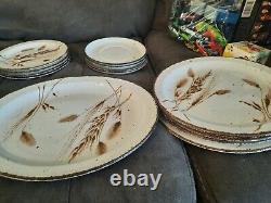 30 Wild Oats Stonehenge Midwinter England Dinner Plate, Cups, Saucers. Whole Set