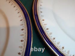 AYNSLEY Leighton Cobalt Dinner Plates, Set of 6, Made in England NICE