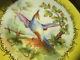 Antique Birds Scenic Decorated Porcelain Dinner Plates Yellowithgold 12 Pc Set