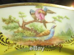 Antique Birds Scenic decorated Porcelain Dinner Plates YellowithGold 12 pc set