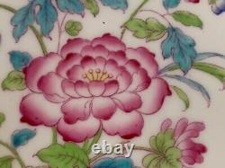 Antique Royal Doulton Porcelain 12 Dinner Plates Beautiful Floral PatternE2924SC