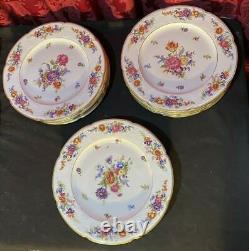 Beautiful Set 12 Vintage Antique Czech Porcelain Floral Decorated Dinner Plates