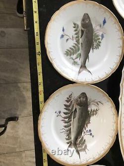 Benedikt Hand Painted Fish Designs Set 10 Dinner Plates 8 1/4 & 24 Long Platter