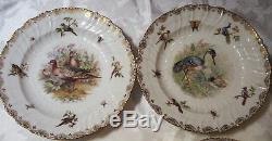 C. 1900 antique set 12 Dresden Germany porcelain exotic bird dinner plates 9 1/2