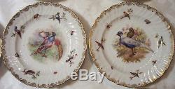 C. 1900 antique set 12 Dresden Germany porcelain exotic bird dinner plates 9 1/2