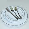 Dinner/ Wedding Disposable Plastic Plates & Silverware Set, Silver/ Gold Rim