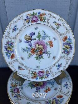 Dresden Flower Dinner Plates Bavaria Porcelain Set 6 Tirschenreuth