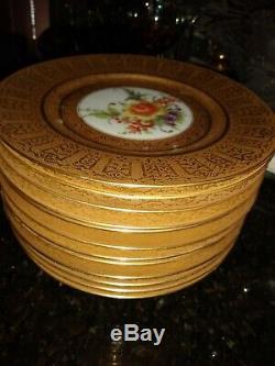 Encrusted Gold Gilt Floral Cabinet Dinner Plates Set of 12