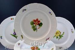 German Nymphenburg Porcelain Antique Bouquet Floral Set of 13 Dinner Plates