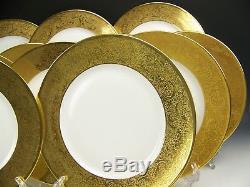 Gorgeous Limoges 12 Gold Gold Encrusted Flower Dinner Plates Set