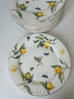 Grace teaware Lemons, Bees And Butterflies 12 Piece Set Dinner plates