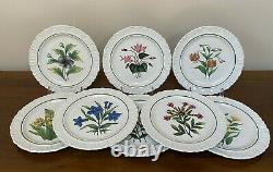 Hand-Painted Italian Botanical Earthenware Salad Dessert Plates Set of 8