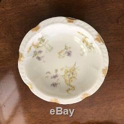 Haviland H & Co. France Set Schleiger 221C & H5045 Purple and Yellow Floral