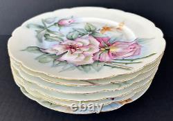 Haviland Limoges (6) Dinner Plates 9.5 Assorted Florals Flowers Lot 2