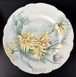 Haviland Limoges (6) Dinner Plates 9.5 Assorted Florals Flowers Lot 2