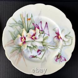 Haviland Limoges (6) Dinner Plates 9.5 Assorted Florals Flowers Lot 2