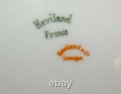 Haviland Limoges France #18016 Schleiger 91 Set of 5 Dinner Plates 9 3/4