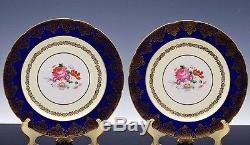 Incredible Set 12 Paragon Hand Painted Cobalt Bue Ground Gold Gilt Dinner Plates