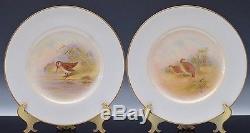 Incredible Set 12 Royal Worcester Hand Painted Birds Scenic Dinner Plates B Cox
