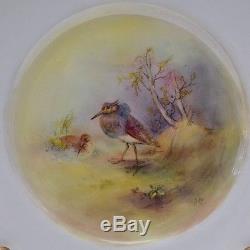 Incredible Set 12 Royal Worcester Hand Painted Birds Scenic Dinner Plates B Cox