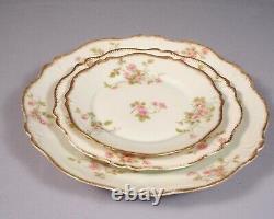 Limoges France Pink CHField Haviland GDA DINNER SET Plates Bowl Platter CHF774