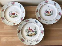 Lovely Set of 12 Tiffany & Co Exotic Bird Dinner Plates made by Booth's England