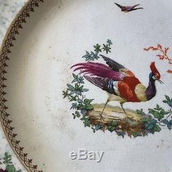 Lovely Set of 12 Tiffany & Co Exotic Bird Dinner Plates made by Booth's England