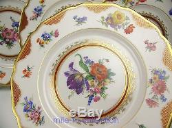 Madeleine Hutschenreuther Floral & Gold Dinner Plates Set Of 12