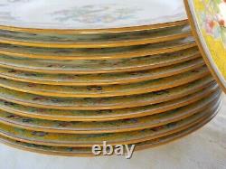 Mintons English Dinner Plates Set of 12 B991 M Hand Colored Exotic Birds 9