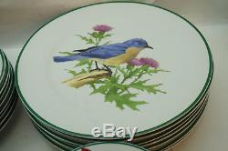 National Wildlife Federation China Set Birds Butterflies Dinner Plates Soup 39pc