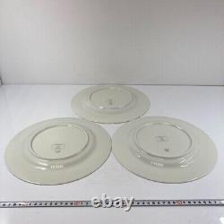 PIERRE FREY Limoges Alpage Dinner Plate Set of 6 rare USED F/S from Japan