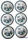 Pekin Set 6 Plates 9 In Round Oriental Motif Royalwood & Sons England Porcelain