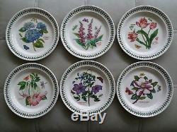 Portmeirion Botanic Garden 10.5 Porcelain Dinner Plates, Set of 6 Made In UK