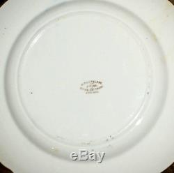 RARE 1830's Copeland & Spode Fish Platter Set w NINE Matching Dinner Plates 9