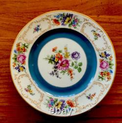 RARE Antique TIRSCHENREUTH Bavaria DRESDEN Decoration dinner plates SET OF 11