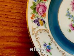 RARE Antique TIRSCHENREUTH Bavaria DRESDEN Decoration dinner plates SET OF 11