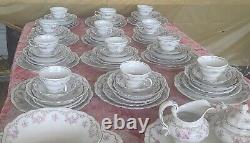 RARE Johann Haviland PETIT Point Collection Vintage Dinnerware Large 93 Pc