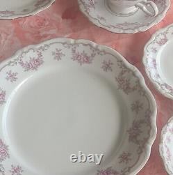 RARE Johann Haviland PETIT Point Collection Vintage Dinnerware Large 93 Pc