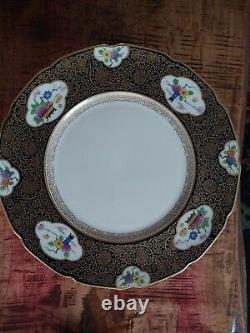 Rare Set 12 Antique Lenox Dinner Plates Black Gold Floral