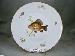 Richard Ginori 7 Piece Fish Set Platter And 6 Dinner Plates