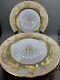 Richard Wehsener Dresden Germany Set 10 Dinner Plates